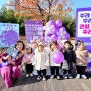선화 충남일보