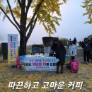 충북 괴산군 문광저수지 은행나무길 이미지