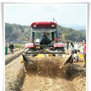 본디올대치한의원 이미지