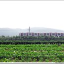 주라위삼거리 이미지