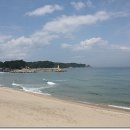 대포항 이미지