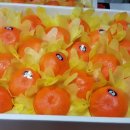 수아농원 이미지