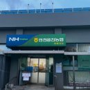 옹진농업협동조합 연평지점 이미지