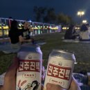 <밤이 아름다운 별밤피크닉> | [진주] 남강 별밤 피크닉 페스티벌 직접 다녀온 후기 (feat. 김나영)