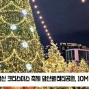 2023앞산크리스마스축제 앞산빨래터공원 10M대형트리점등 뉴스114TV 대구시청 대구시의회 홍준표시장 조재구구청장 국민의소리 이미지