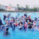 비전태권도 이미지