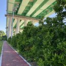 광도테니스장 이미지