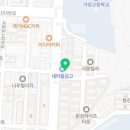 워시테리아석남점