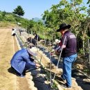 금산군청 이미지