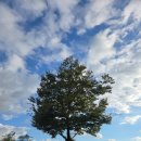 경원미술관 | 추석 연휴동안의 주간일기