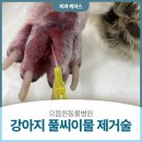 으뜸원동물병원 이미지
