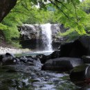 다덕약수관광지 이미지