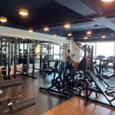 고 베어 짐 이미지