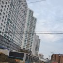 정금부동산공인중개사사무소 이미지