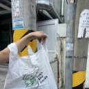 최명규 | 반기문재단X대자연 기후환경리더 양성과정 실천활동 / 플로깅