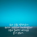 애가 이미지