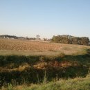 송산제약(주) 이미지