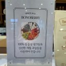 부산디저트맛집 해운대 보노베리카페 망고생크림케이크 후기