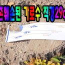 가로수주유소 이미지