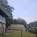 퍼피플리즈 이미지