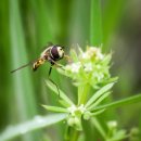 그해여름 이미지