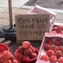 엘씨벤처스