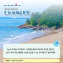 삽시도어촌체험휴양마을