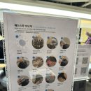 (주)알이알인스트 1호 | 이철헤어커커 명동1호점ㅣ15단계 두피 헤드스파 솔직후기 (추효정 수석실장님)