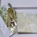 그림愛 유화 그리기 | 취미 추천, 내 사진으로 주문제작 유화그리기! 조이문 명화그리기 만족 후기