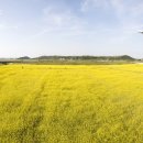 인천국제공항 하늘정원 내 이미지