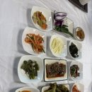 삼향식당 - 목포시 | 삼향식당