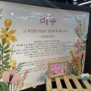 보름도본본