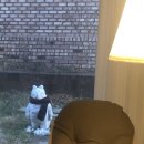 (주)씨아이스 이미지