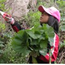 여행길에서 만난 사람들 // 피서지에서 생긴일 (영화) 이미지