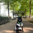 하루댕댕 | 댕댕런 2025 in 대전, 연습과 참가 후기