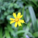 나그네쉼터 이미지