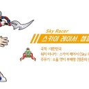 (주)스카이소울 이미지