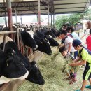 선두목장 이미지