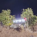 삼산면-1 | [해남 삼산면] 황칠왕갈비탕 현지인 맛집&lt;해창식육식당&gt;