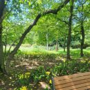 분당스마일약국 이미지