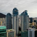 감내카페 벽화 이미지