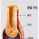 중년이후 무릎관절관리 이미지