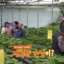 이창환농장 네이버블로그