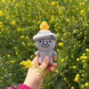 월평마을회관 | 제주 올레길 8, 9코스 걷기 여행 (1) 소곰, 약천사, 카페오놀, 배릿내 공원 정자
