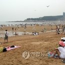 인산인해 - 남해군 | 인산인해
