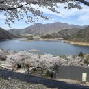 충주호캠핑장 | 충주호 뷰 맛집, 퀸스타운 캠핑장 후기: 호수 뷰 명당에서 즐기는 힐링 캠핑