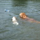 청도천9 이미지