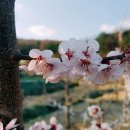 영진카정비 이미지