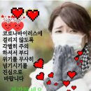 해비