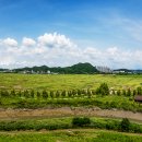 갯골생태공원 이미지